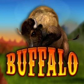 Buffalo Bingo by MGA Games, showcased at robocats.at – game logo